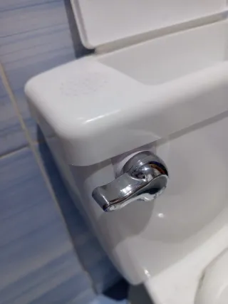 Asiento aprendizaje WC blanco