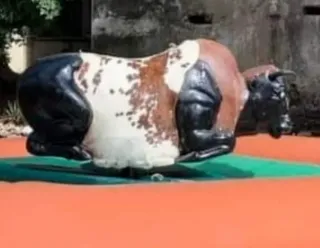 Toro Mecánico Hinchable