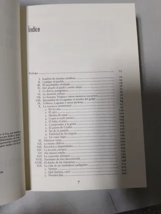 Perón: Tal vez la historia (Spanish Edition)