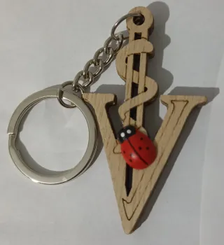 Portachiavi lettera V con coccinella Idea regalo