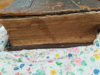 ANTIGUA BIBLIA ALEMANA XIX SIGLO 1870 AÑO.