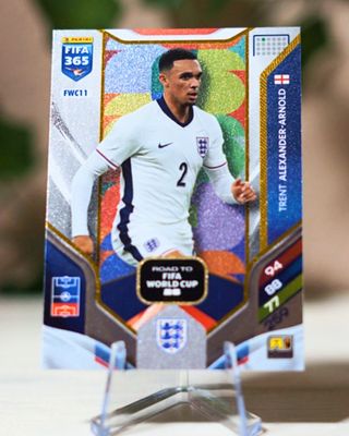 Trent Alexander Road to FIFA World Cup FWC11