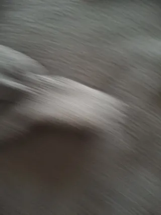 Vestito invernale nero taglia M/L