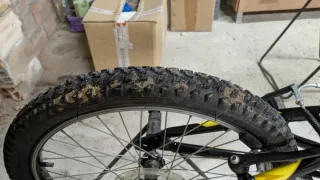 Bicicleta Infantil Coluer Rider 20