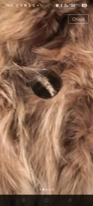 Vera pelliccia Anfon Emporio taglia 40