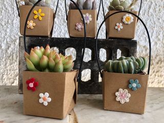 Macetas de carton con flores decorativas