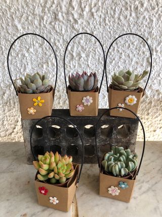 Macetas de carton con flores decorativas