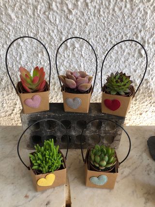 Macetas de carton con flores decorativas