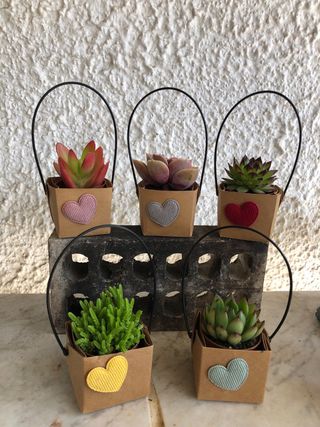 Macetas de carton con flores decorativas