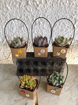 Macetas de carton con flores decorativas