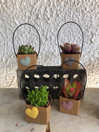 Macetas de carton con flores decorativas