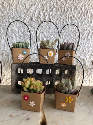 Macetas de carton con flores decorativas