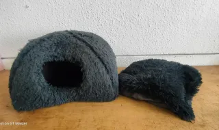 Cuccia morbida per gatti usata