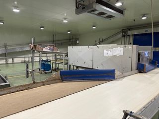 Calibrador Sandia Melon 8 Operarios