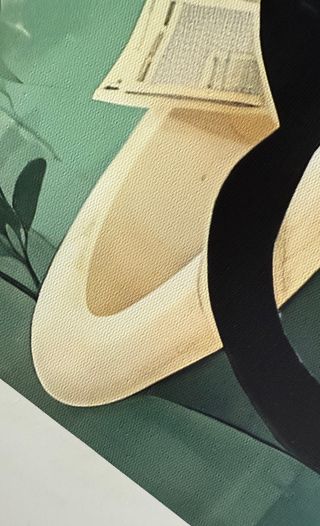 Poster Tela Gatto Nero in Vasca 30x40