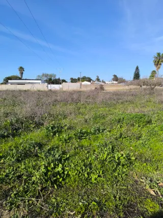 Parcela en CHICLANA