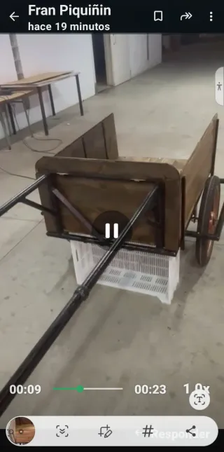 Carro para burros o poni