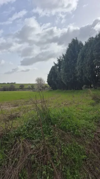 Se vende parcela rustica