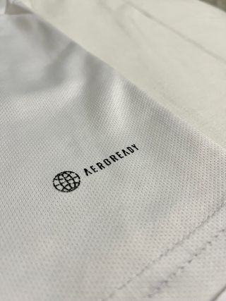 Camiseta Olympique Lyon 23-24