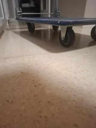 Carro plataforma de carga