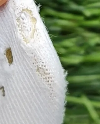 Zapatillas Nike Pegasus 40 Running talla 42,5