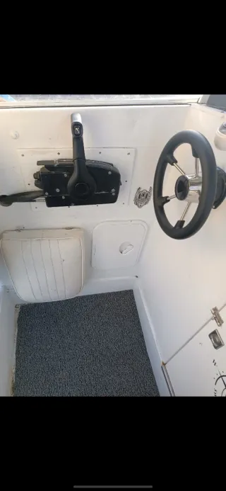 Barco Artaban 4.85 con motor Mercury 60cv