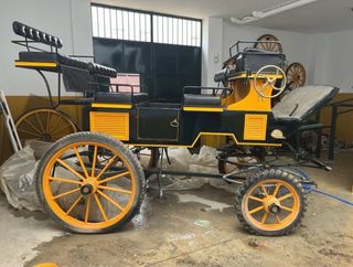 Carruaje Grand Break Negro y Amarillo