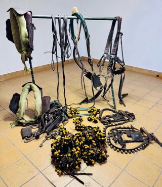 Carruaje Grand Break Negro y Amarillo