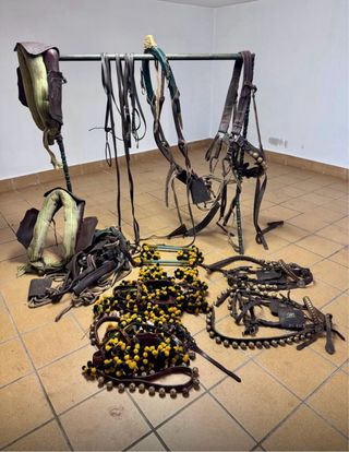 Carruaje Grand Break Negro y Amarillo