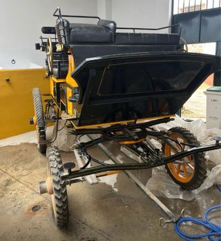 Carruaje Grand Break Negro y Amarillo