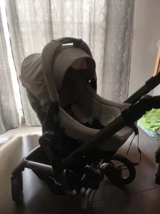 Carricoche Jane Rider Exclusive