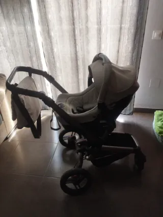 Carricoche Jane Rider Exclusive