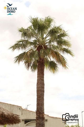 Chalet en venta en Castelló d'Empúries poble en Castelló d´Empúries