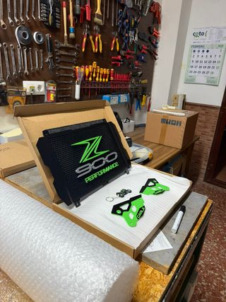 TOP: Rejilla y taloneras custom Z900 PERFORMANCE