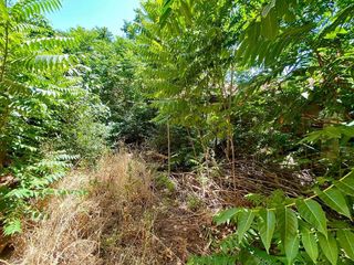 Hotel en venta en Daimiel