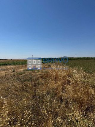 Terreno en venta en Don Benito