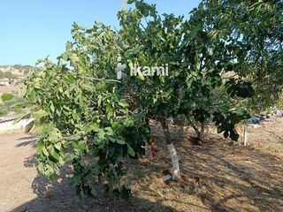 Chalet en venta en Zafra