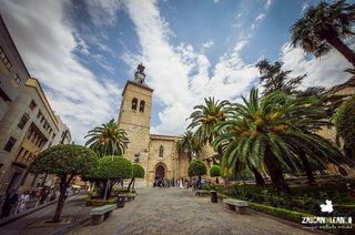 Chalet en venta en Manzanares