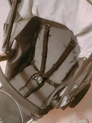 Carro o silla de paseo