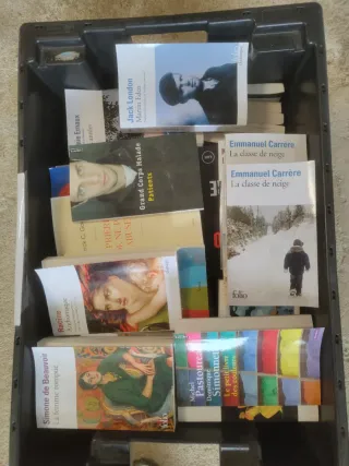 Lote variado 500 libros nuevos en Francés