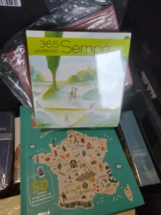 Lote variado 500 libros nuevos en Francés