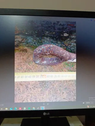 Carro antiguo de madera