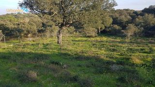 Solar en venta en Las Vaguadas - Urb. del Sur en Badajoz