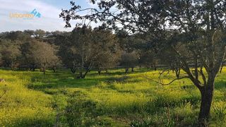 Solar en venta en Las Vaguadas - Urb. del Sur en Badajoz