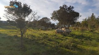 Solar en venta en Las Vaguadas - Urb. del Sur en Badajoz