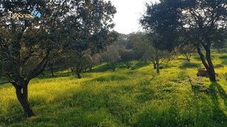 Solar en venta en Las Vaguadas - Urb. del Sur en Badajoz