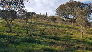 Solar en venta en Las Vaguadas - Urb. del Sur en Badajoz