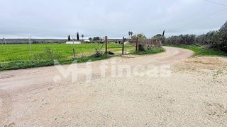 Terreno en venta en Umbrete