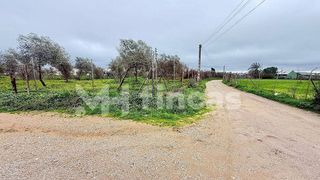 Terreno en venta en Umbrete