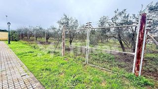 Terreno en venta en Umbrete